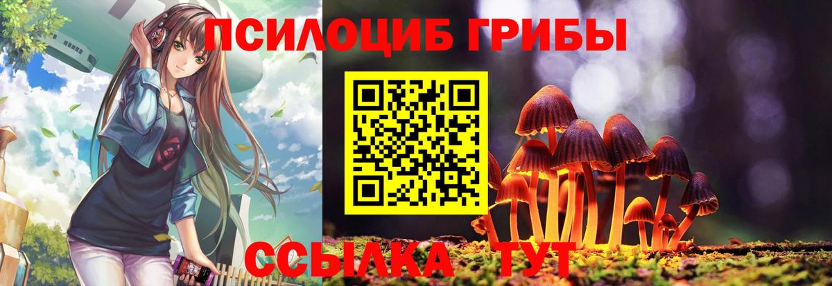 Псилоцибиновые грибы мицелий  Вход с VPN  Изобильный 